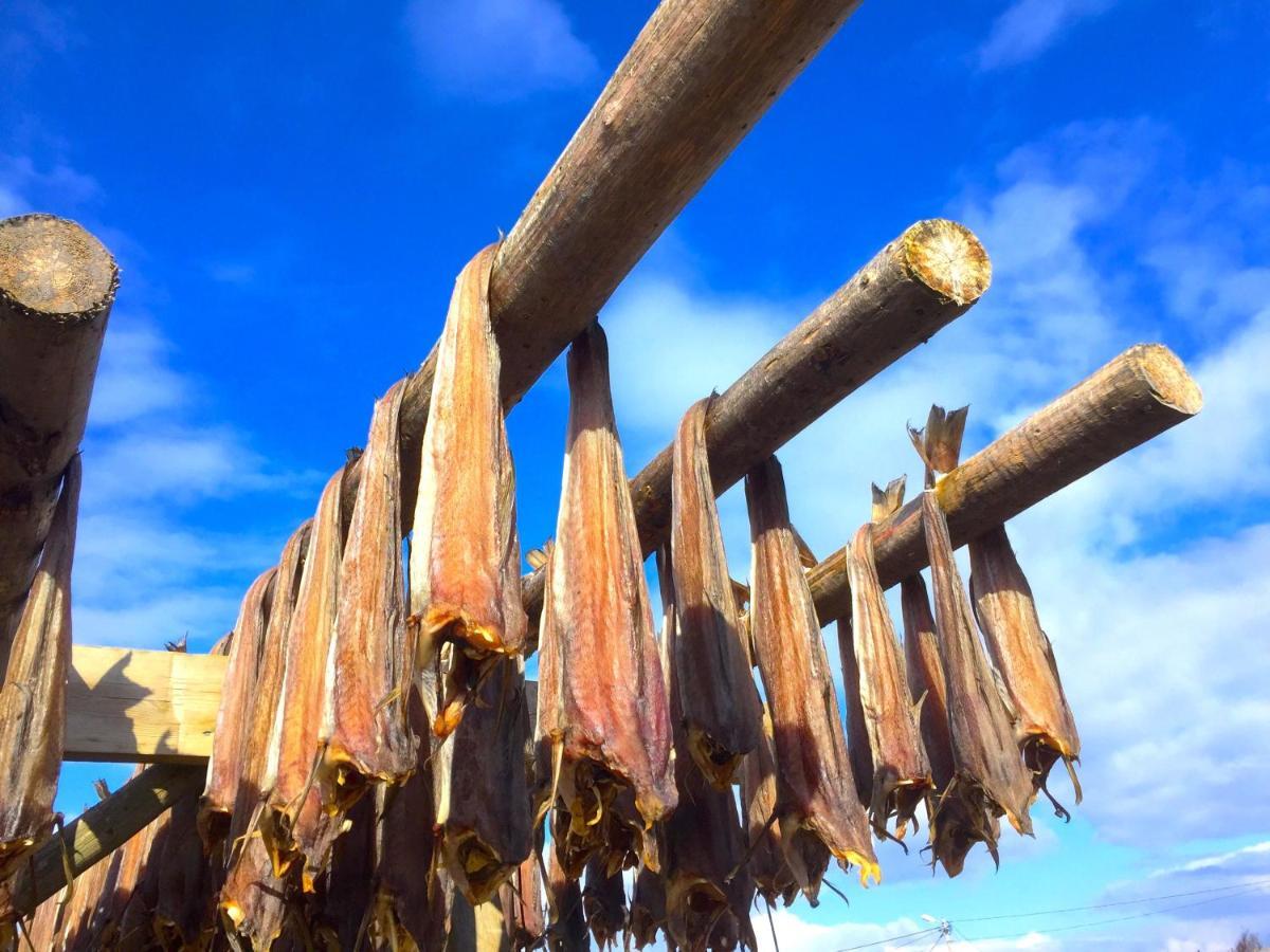 Eggum Fishermans Cabin Bostad エクステリア 写真